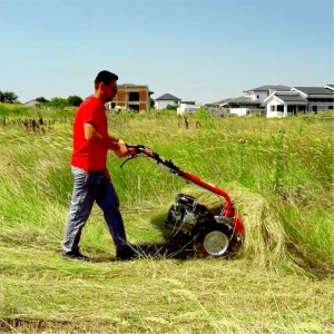 Motocositoare multifunctionala BISONTE Agro Garden BTA-MF360 motor Loncin G200F 6,5 cp - Img 2