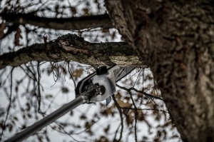 Accesoriu Fierastrau Cu Lant Milwaukee M18 FOPH-CSA Pentru Multifunctionala QUIK-LOK™ - Img 3