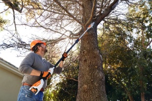 Emondor de înălțime cu acumulator Stihl HTA 50 - Sistem AK lama 30 cm, lungime 280 cm (LA022000015) - Img 4