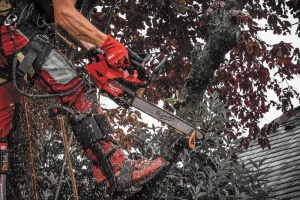 Fierăstrău cu lanț Milwaukee M18 FTHCHS35-0 35 cm sistem FUEL 4933479588 - Img 4