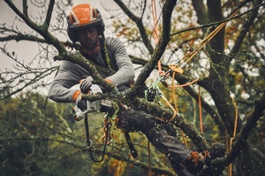 Motoferăstrău multifuncţional cu acumulator Stihl GTA 40 - Sistem AS - Img 5