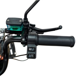 Triciclu electric RURIS Pilot 3020N , 2000W (30200TEN25A), CIV inclus - Img 10