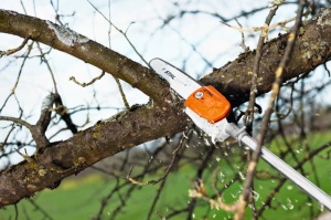 Emondor de inaltime, pe benzină STIHL HT 56 C-E, 800W, lungime 280cm, lama 25 cm - Img 5