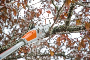Emondor de înălțime cu acumulator Stihl HTA 50 - Sistem AK lama 30 cm, lungime 280 cm (LA022000015) - Img 5