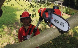 Ferastrau telescopic pentru crengi (emondor), pe acumulator 18V, 3.76m/s, Einhell GE-LC 18 Li T-Solo 3410810 - Img 11