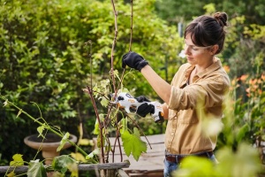 Foarfecă de grădină pe acumulator Stihl ASA 20.0 (nu include acumulatori sau încărcător) VA050116201 - Img 4