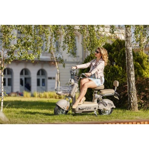 Scuter Electric RDB PARIS, 600W, fără permis, 48V 20Ah, 25km/h, Maro (RDBPARISBROWN+B) CIV inclus - Img 6