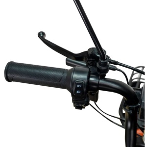 Triciclu electric RURIS Pilot 3020N , 2000W (30200TEN25A), CIV inclus - Img 11