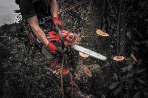 Fierăstrău cu lanț Milwaukee M18 FTHCHS35-0 35 cm sistem FUEL 4933479588 - Img 2