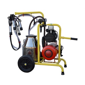 Mulgătoare Evolutia Dan TM1121 - 1 post bidon 30 l Inox
