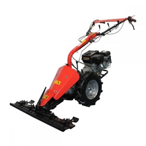 Motocositoare multifunctionala BISONTE Agro Garden BTA-MF360 motor Loncin G200F 6,5 cp