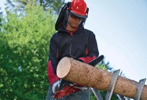 Motoferastrau Einhell GC-PC 1335/1 I 4501870 - Img 7
