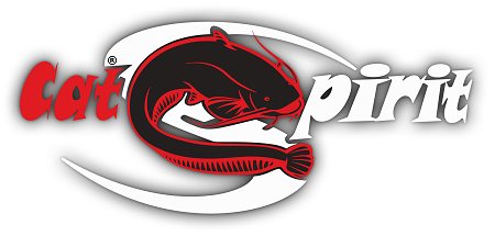 Cat Spirit