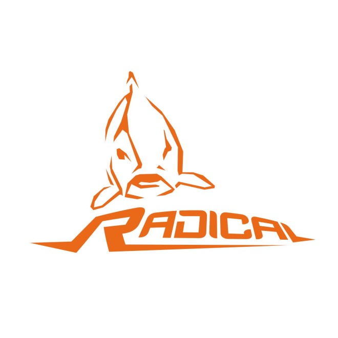 RADICAL QUANTUM