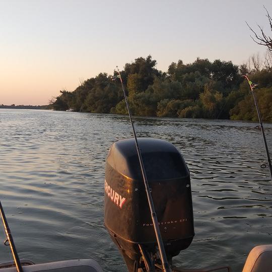 Lansete barca