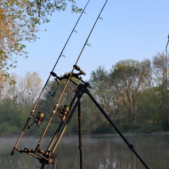 Rod pod-uri