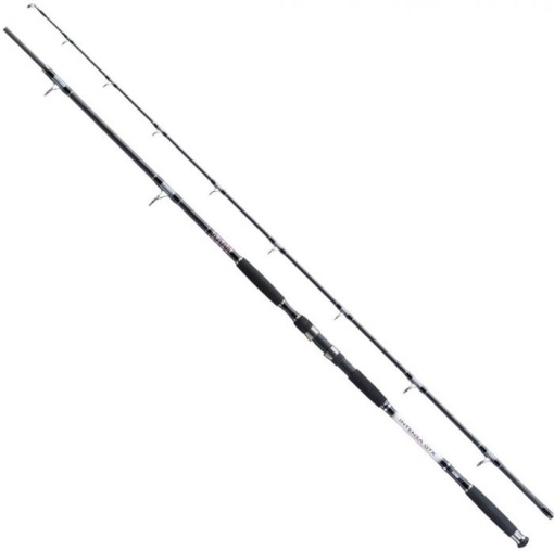 Lanseta Jaxon Intensa GTX Catfish HD 3.00m 400g