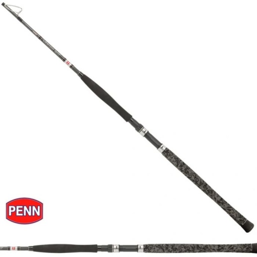 Lanseta Penn Legion Cat Silver Monstercat 1.90m 500g 1+1