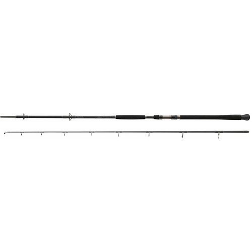 Lanseta Somn Daiwa Exceller Catfish 2.70m 200-600g