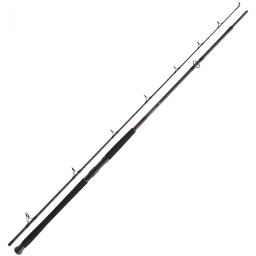 Lanseta Daiwa Exceller Catfish Boje 3.00m 200-600g 2buc