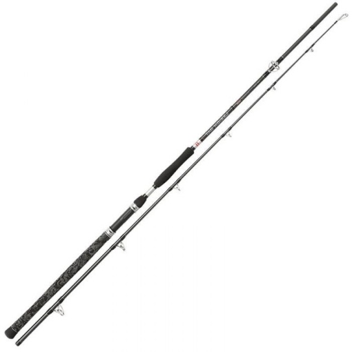 Lanseta Penn Legion Cat Silver Allround 3.00m 100-300g 2buc