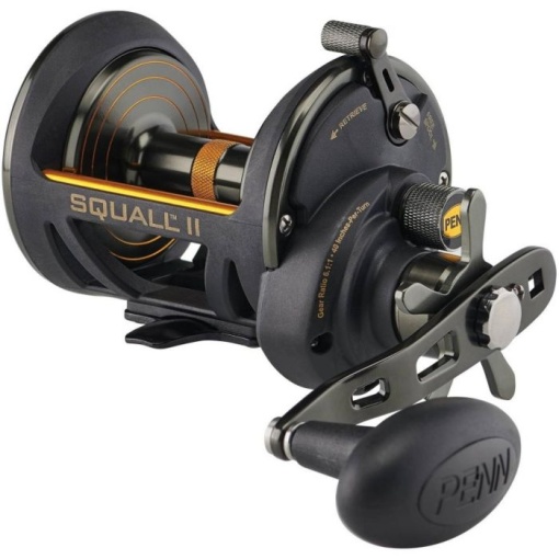 Multiplicator Penn SQUALL II Star Drag 25N Left Hand