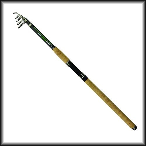 Lanseta Carp Zoom Action Telecarp 2.70m 50-100g