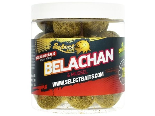 Select Baits Boilies de carlig special intarit Belachan 16mm