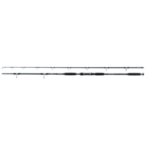 Lanseta Jaxon Eclatis Catfish 2.55m 200-500g 2buc
