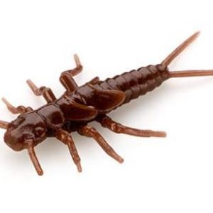 FishUp Stonefly 2.1cm 12buc/plic