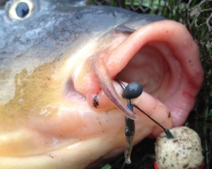 Alice Carlig PB Products Downforce Shot-On The Hook Beads 15buc/plic - Img 3