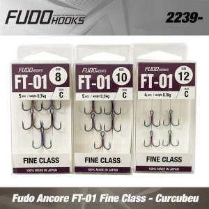 Ancore Fudo FT-01C Fine Class Curcubeu - Img 2