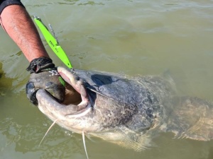 Cicada Zeck Vertical Jig White 140g - Img 2