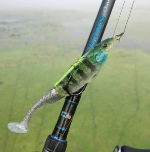 Jackall Grinch 135mm 20g Male Gill Chartreuse Tail - Img 5