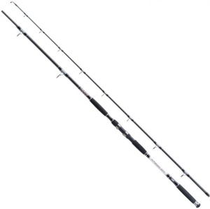 Lanseta Jaxon Intensa GTX Catfish HD 3.00m 400g