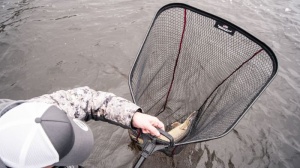 Minciog Abu Garcia Beast Landing Net 80x70cm - Img 3