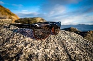 Ochelari Polarizanti Leech Eagle Eye C2X Copper Lens - Img 2