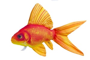Perna Energo Team Goldfish 50cm