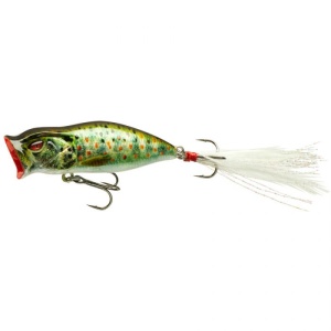 Popper Daiwa Prorex 5.5cm 5.7g Live Brown Trout