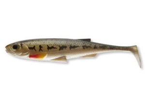 Shad Daiwa Duckfin Live 10cm gudgeon