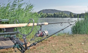 Suport Carp Zoom Feeder Rod Holder Arm - Img 2