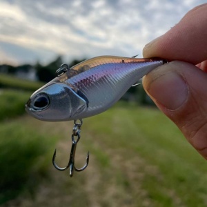 Vobler Berkley DEX Ripper 5cm 9.8g - Img 5