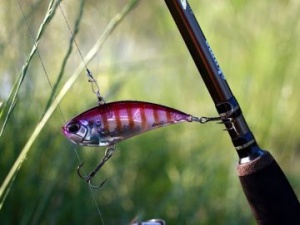 Vobler DUO Realis Vibration 6.8cm 16g Sinking TNS Chart - Img 2