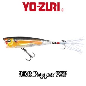 Vobler Yo-Zuri 3DR Popper 7.5cm 10g Floating RBG - Img 2