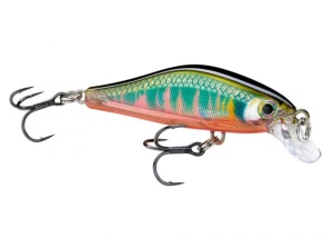 Vobler Yo-Zuri 3DR Wakebait 5cm 8.5g Floating RRT - Img 2