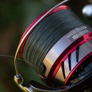 Fir Monofilament Daiwa Tournament ST 300m - Img 2