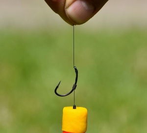 Haldorado FermentX Natural Baits 12-16mm Palinca si Miere - Img 5