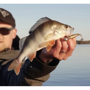 KP Baits Flash Shad 11.5cm 5buc/plic FL005 - Img 2