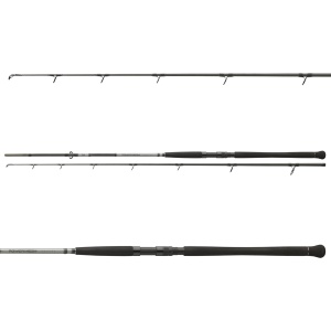 Lanseta Daiwa Powermesh Catfish Boje 2.70m 150 – 400g
