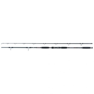 Lanseta Jaxon Eclatis Catfish 2.70m 50-120g 2buc - Img 1